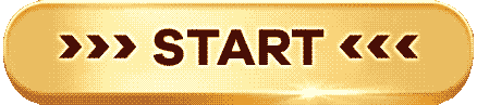 startBtn